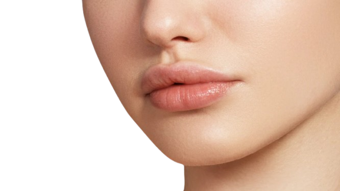 Lips