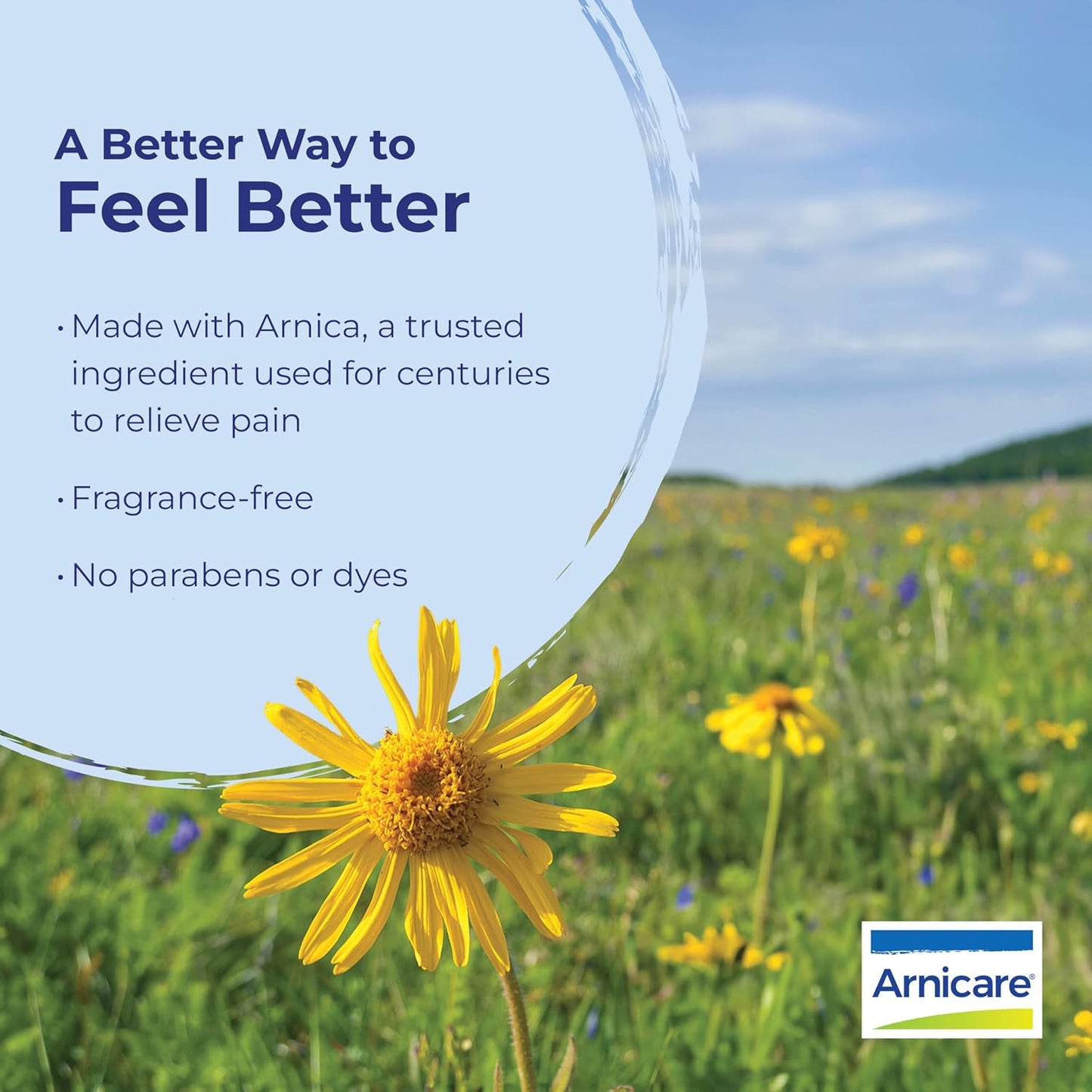 Arnica Gel